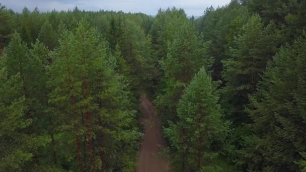 Pohled Zalesněnou Oblast Dronu Klip Jasná Obloha Bez Sedu Nad — Stock video