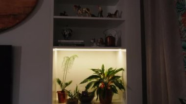 İçerideki raflarda çiçekler ve heykelcikler var. Yaratıcı. Detayları ve renkleri olan modern bir daire. Dolaptaki biblolar ve çiçeklerle ilgili detaylar..