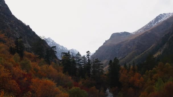 Belle Vallée Montagne Avec Forêt Automne Créatif Beau Paysage Montagne — Video