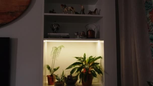 Shelves Interior Flowers Figurines Creative Interior Modern Apartment Details Colors — Stock Video