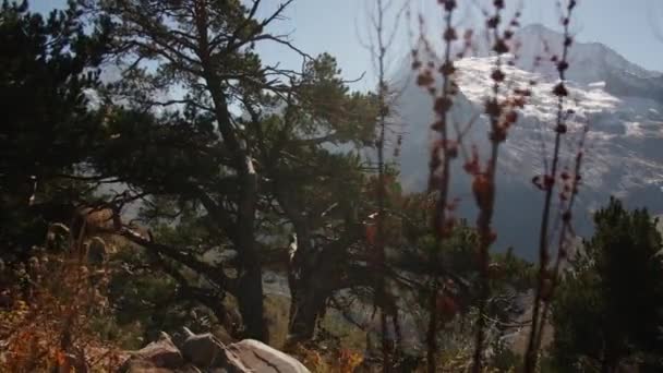 Hermoso Valle Montaña Con Bosque Otoño Creativo Hermoso Paisaje Montaña — Vídeos de Stock