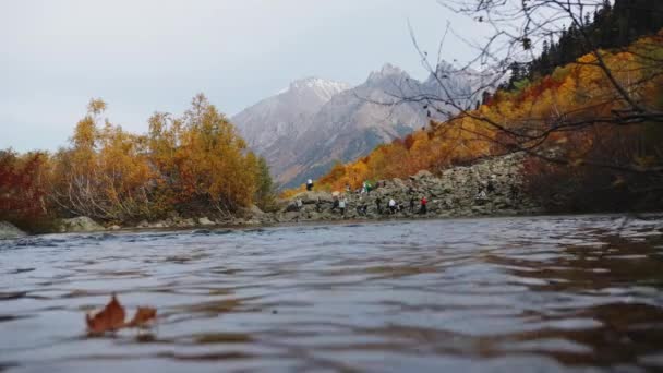 Ein Kleiner See Herbstwald Kreativ Eine Helle Landschaft Mit Einem — Stockvideo