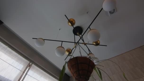 Una Pequeña Lámpara Araña Moderna Contra Techo Blanco Una Maceta — Vídeo de stock