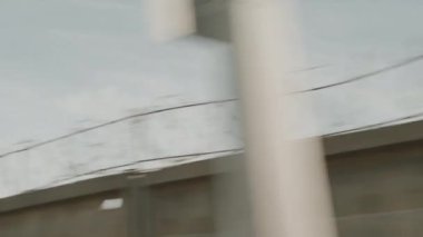 Hareket halindeki bir arabanın görüntüsü. Stok görüntüleri. Parlak gökyüzü ve uzun yeşil ağaçlarla hızlı hareket ediyor. Yüksek kalite 4k görüntü