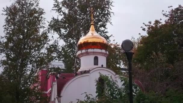 Bella Chiesa Ortodossa Clip Piccolo Tempio Bianco Con Cupole Dorate — Video Stock