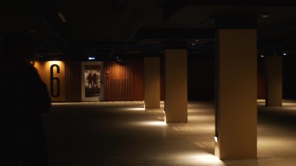 Mujer Caminando Largo Las Columnas Aparcamiento Subterráneo Imágenes Archivo Estacionamiento — Vídeos de Stock