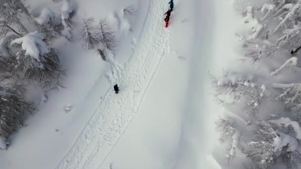 Luftaufnahme Von Oben Nach Unten Von Menschen Die Winterwald Wandern — Stockvideo
