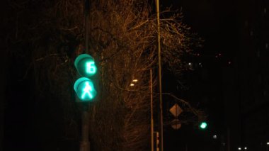 Trafik ışığı olan siyah bir şehir. Kavram. Akşam karanlığında ayakta duran yayalar için trafik ışığı.