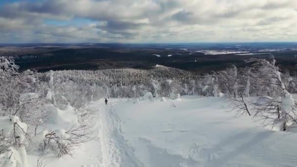 Vista Superior Homem Caminhando Montanhas Floresta Inverno Clipe Homem Faz — Vídeo de Stock