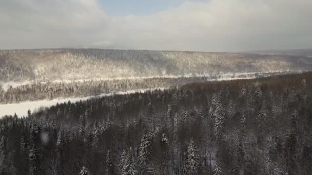 Pemandangan Musim Dingin Yang Indah Dengan Bukit Bukit Dan Hutan — Stok Video