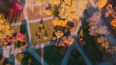 Yeşil çimenler ve sarı ağaçlarla dolu bir sonbahar şehir parkının yukarıdan görünüşü. Şarjör. Güzel renkli yapraklar. 
