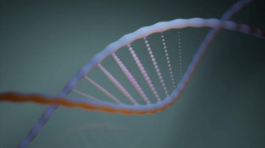 Siyah arkaplan ve DNA molekülü. Tasarım. Farklı yönlere doğru yaklaşık olarak hareket eden bir renk canlandırması. Yüksek kalite 4k görüntü