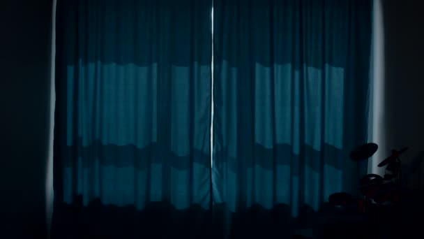 暗い部屋だった メディア 隣に立っている屋内花と良い睡眠のためのクローズドカーテン付きの部屋 高品質の4K映像 — ストック動画