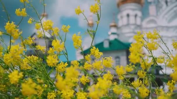 Gelbe Blumen Auf Dem Hintergrund Der Schönen Kirche Sommer Clip — Stockvideo