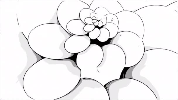 抽象的なスピニング漫画の花芽 デザイン 開花する花の光学錯覚 — ストック動画