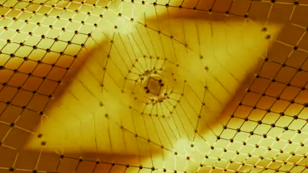 Raster Beweegt Golven Met Driehoekig Patroon Licht Ontwerp Grid Met — Stockvideo