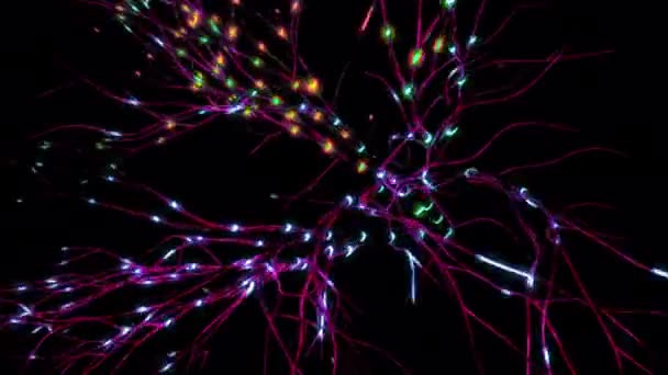 Animation Activité Neuronale Synaptique Design Neurones Dans Tête Neuroactivité Synapses — Video