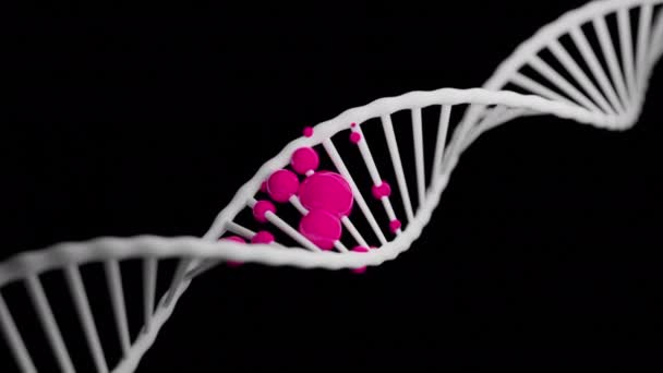 移动3D Dna螺旋与有色分子 Dna螺旋上的彩色球状分子 Dna链中有色分子形式的疾病 — 图库视频影像