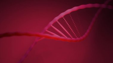 3 boyutlu DNA yapısı taşınıyor. Tasarım. Elektronik uzayda hareket eden üç boyutlu DNA zinciri. Bilgisayar alanında hareket eden DNA sarmallarının yakın plan animasyonu. 