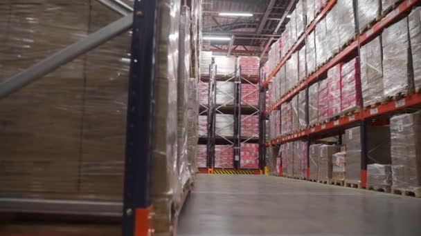 棚の箱 倉庫のデポの商品の閉鎖 クリエイティブ パッケージの整理されたプロダクト在庫 — ストック動画