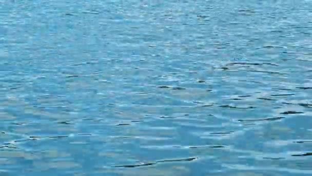 Zbliżenie Pięknych Fal Błękitnej Wodzie Koncepcja Niebieskie Fale Powierzchni Wody — Wideo stockowe