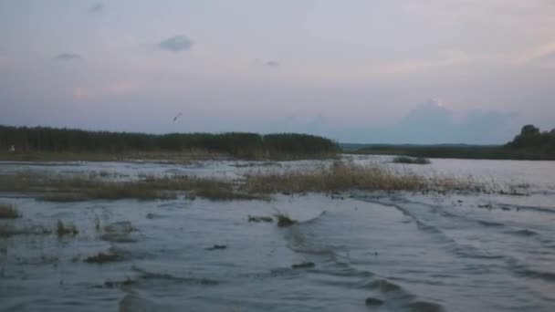小さな波で湖の上の夕日 クリエイティブ 川と森の美しい景色 — ストック動画