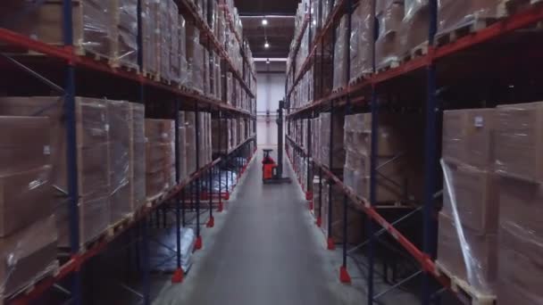 パレット棚の内部のボール紙箱が付いている倉庫 兵站学の中心 クリエイティブで巨大なモダンな倉庫 — ストック動画