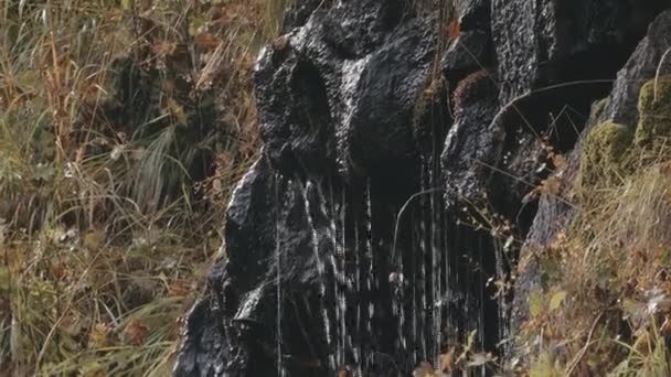 山頂斜面の岩石や石 黄色の木と秋の日に森 クリエイティブ 石の下を流れる水 — ストック動画