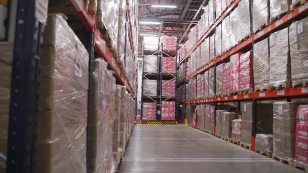 关闭架子上的箱子 仓库里的货物 包装的有组织产品库存 — 图库视频影像