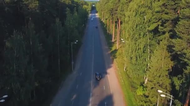 Ovanifrån Motorvägen Med Bilar Skogsområdet Sommardagen Klipp Körning Längs Motorvägen — Stockvideo