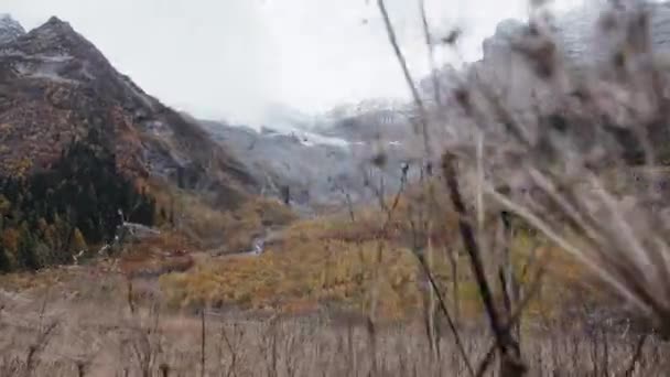 Berg Herbst Trockene Landschaft Kreativ Nahaufnahme Eines Trockenen Feldes Mit — Stockvideo