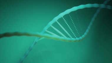 DNA sarmalını 3 boyutlu olarak hareket ettiriyorum. Tasarım. Gelişen bağlantı zincirleriyle birlikte spiral DNA çizgileri. Kalıplaşmış DNA arasında ortaya çıkan bağlantının 3 boyutlu animasyonu. 