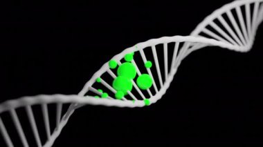 DNA üzerindeki renkli moleküller. Tasarım. Hareket eden moleküllerle birlikte DNA zincirinin 3 boyutlu animasyonu. Renkli moleküller formunda DNA yapısı hastalığı.