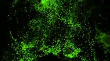 Girdap siyah zemin üzerinde parçacıkların akışı. Tasarım. Girdap içinde parlak parçacıkların akışı. Parçacıkların dönen akıntıları. 