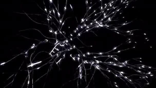 具有明亮脉冲的神经连接线 具有闪光脉冲的神经线网络 神经元线上发光脉冲的运动 — 图库视频影像