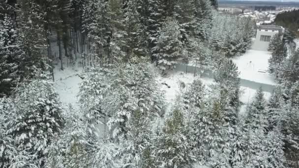Kalte Winterlandschaft Mit Schneebedecktem Nadelwald Clip Betonzaun Und Ein Kleines — Stockvideo