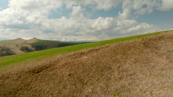 緑の草と粗い木のヒラリー風景 ショット 緑の草と曇りの空の美しい丘の谷のトップビュー 粗い木と緑の草が付いている丘の谷の夏の風景 — ストック動画