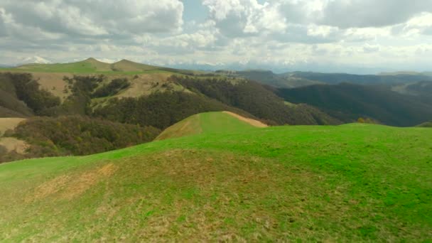 Horní Pohled Kopce Zelenou Trávou Řídkým Lesem Zastřelen Krásná Krajina — Stock video