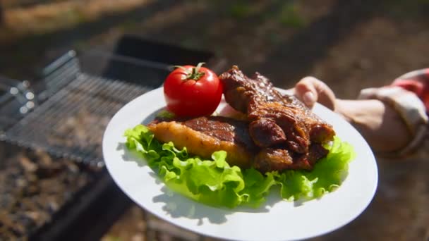 Close Plate Barbecue Meat Vegetables Stock Footage Bright Food Plate — Stock Video
