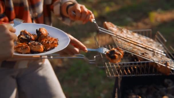 Poulet Est Sorti Barbecue Images Archives Gros Plan Poulet Barbecue — Video