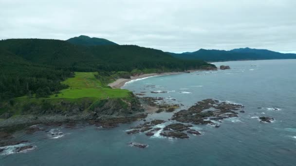 Vista Superior Los Arrecifes Piedra Frente Costa Con Bosques Verdes — Vídeos de Stock
