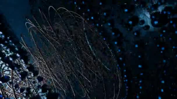 金属弦和珠子的抽象背景 技术龙卷风旋转运动 — 图库视频影像