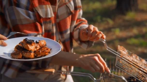 조각의 클로즈업 플레이트에 비디오 닭고기는 자연의 바베큐에서 접시에 넣습니다 화창한 — 비디오
