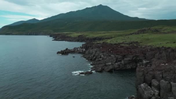 Letecký Pohled Útes Hory Mořské Pobřeží Klip Zalesněná Klouzající Sopka — Stock video