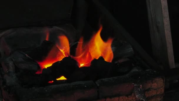 Burning Logs Fire Media Close Fire Coals Grill Night — Stock Video