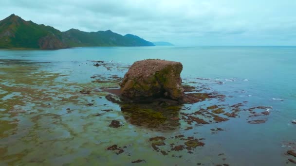 Batu Rocky Laut Pantai Jepit Tampilan Puncak Batu Laut Dekat — Stok Video