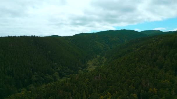 Вид Зверху Прекрасний Гірський Пейзаж Лісовою Зеленою Долиною Кліп Густа — стокове відео