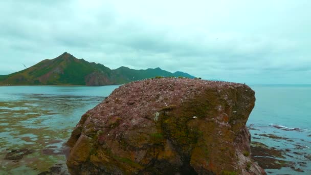Όμορφος Βράχος Στη Θάλασσα Γλάρους Κλιπ Θάλασσα Βράχο Γλάρους Στο — Αρχείο Βίντεο