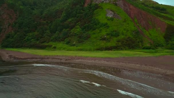 Άποψη Της Άγριας Ακτής Βραχώδη Βουνά Κλιπ Σμήνος Από Γλάρους — Αρχείο Βίντεο