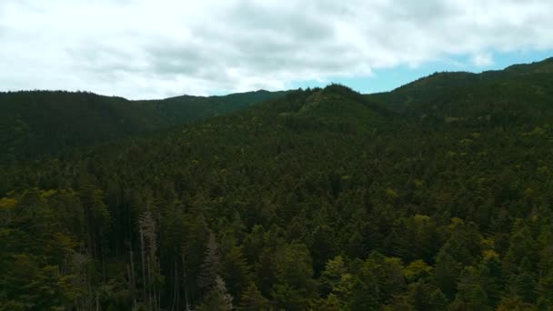 Pemandangan Gunung Yang Indah Dengan Lembah Hijau Hutan Jepit Tumbuhan — Stok Video